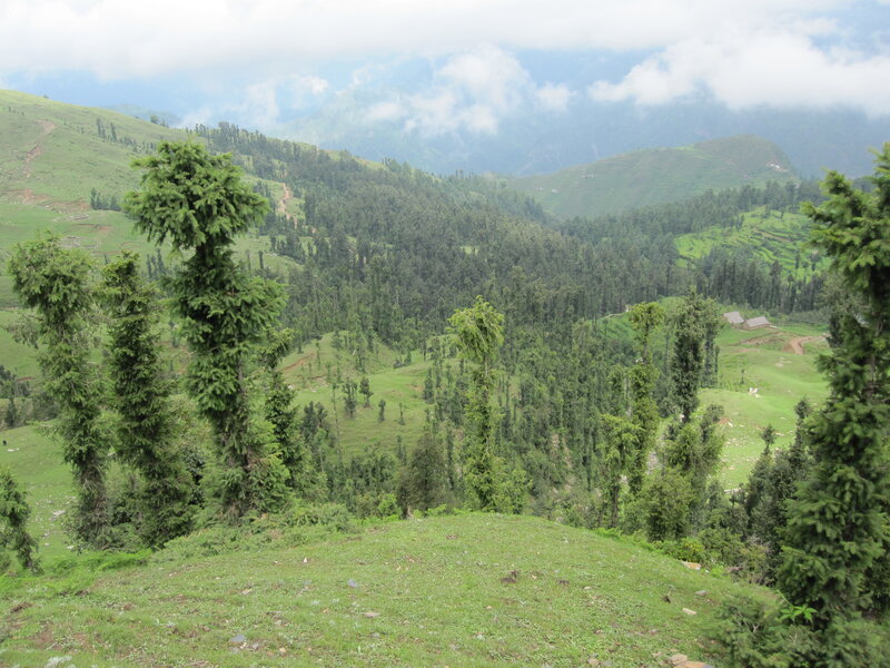 Green Hills with Trees — Serene