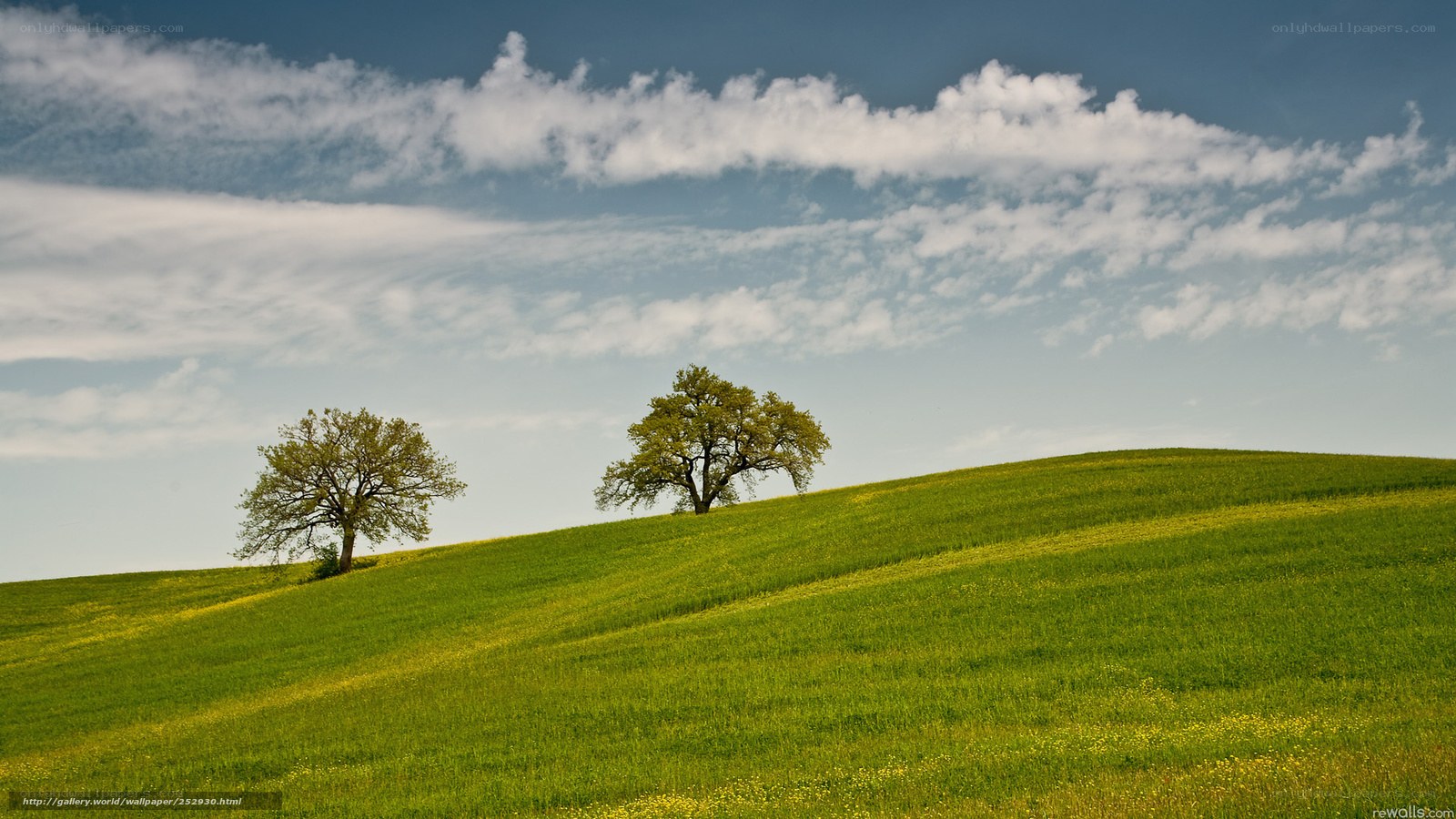 Green hills with two trees