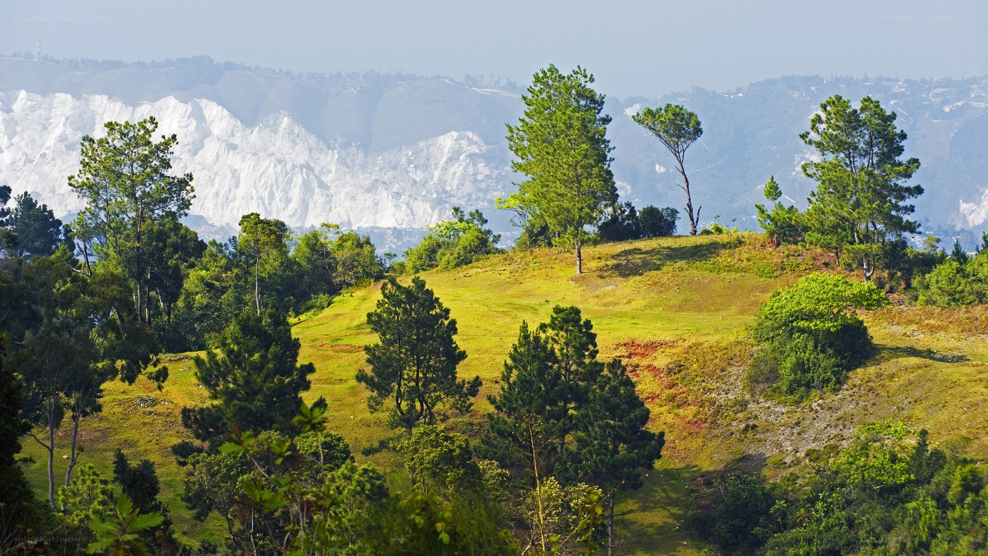 Green hills with white cliffs