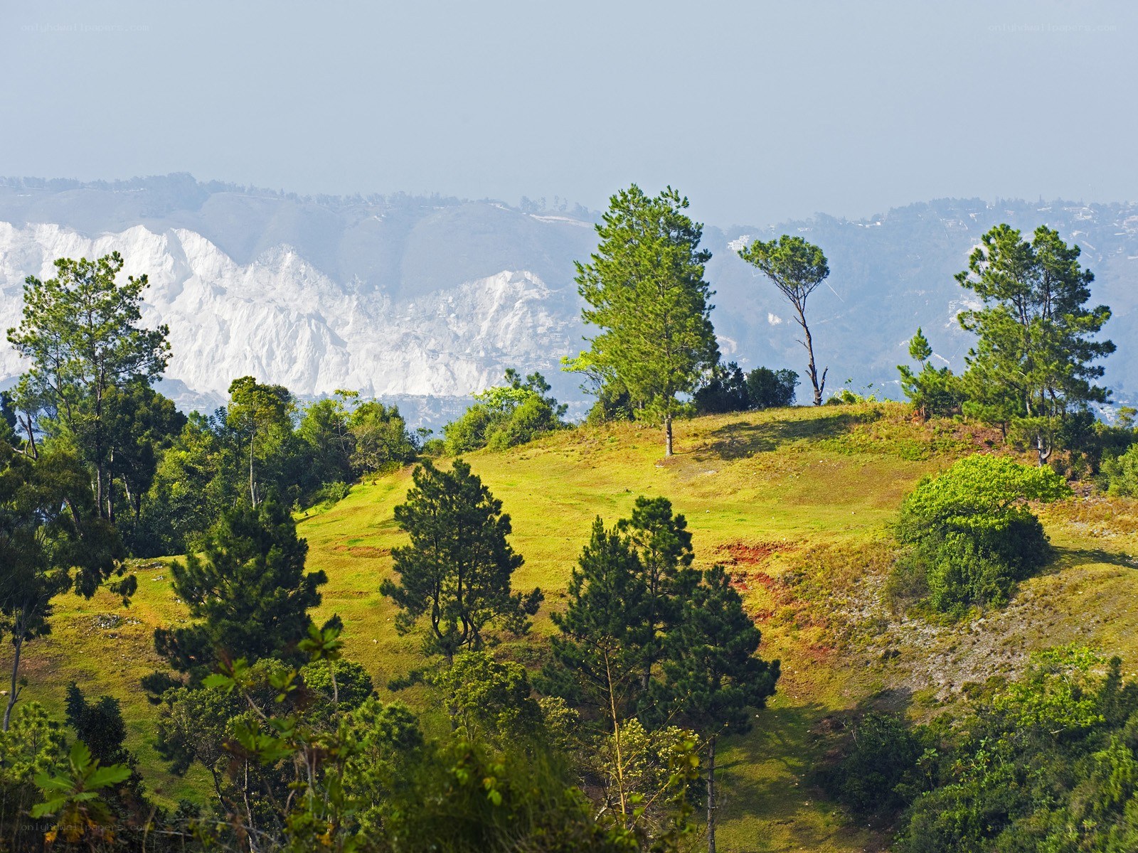 Green hills with white cliffs