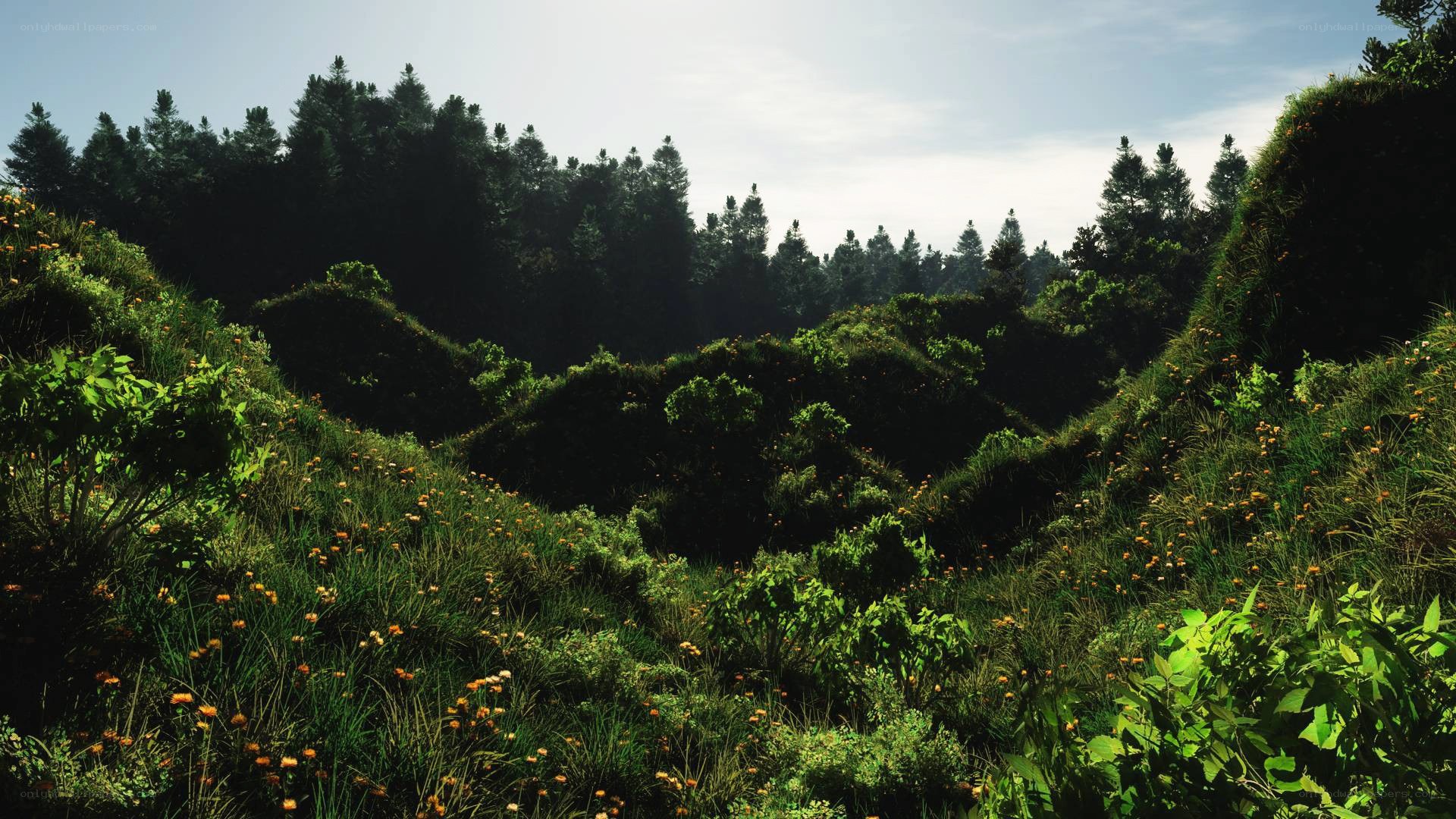 green hills with wildflowers