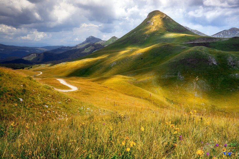 Green Hills with Winding Path — Serene