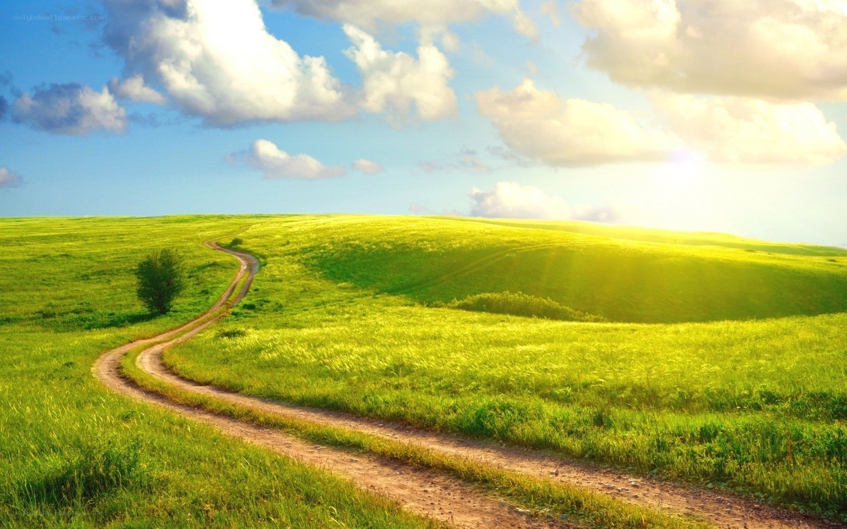Green hills with winding path