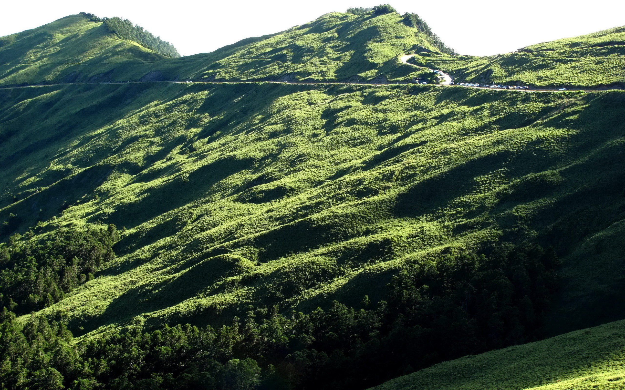 Green hills with winding road