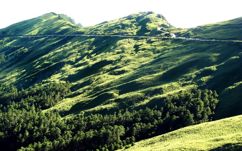 green hills with winding road