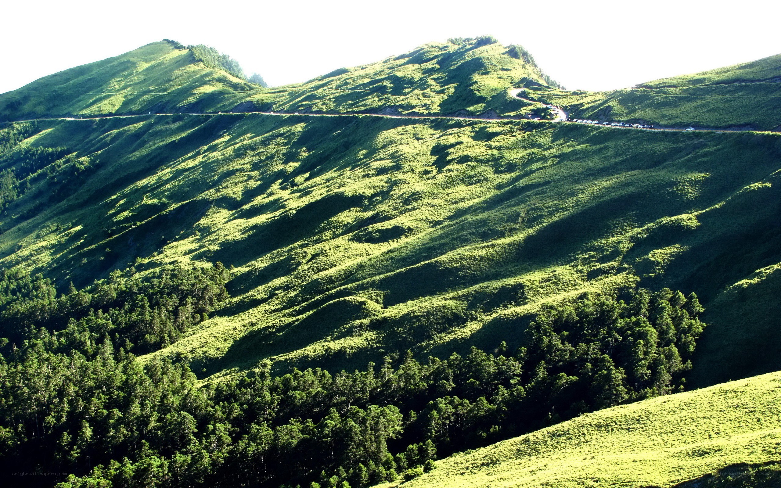 green hills with winding road