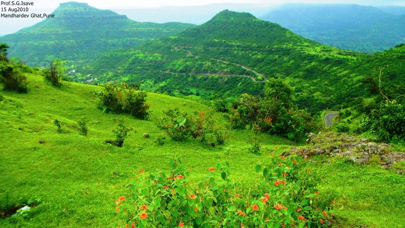 Green Hills with Winding Road — Serene