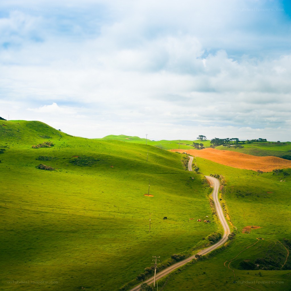 Green hills with winding road