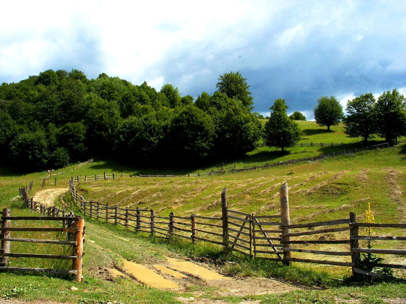 Green Hills with Wooden Fence — Dramatic