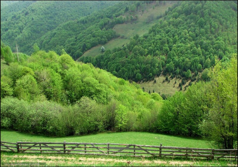 Green hills with wooden fence