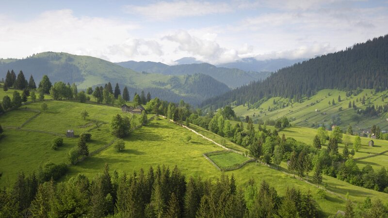 Green Hills with Wooden Fences — Serene, Afternoon