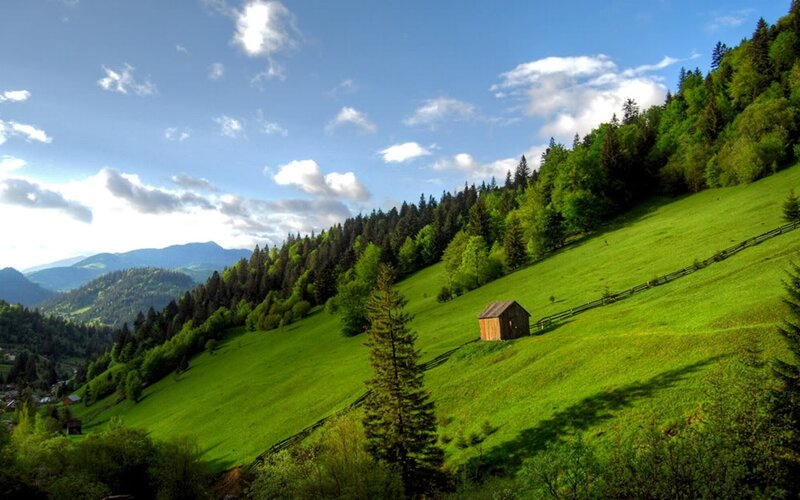 Green hills with wooden hut