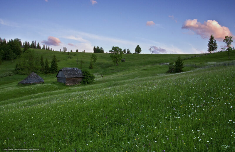 Green hills with wooden huts