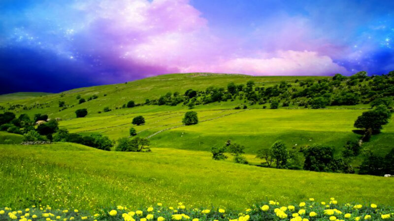 Green Hills with Yellow Flowers — Dramatic, Digital Art