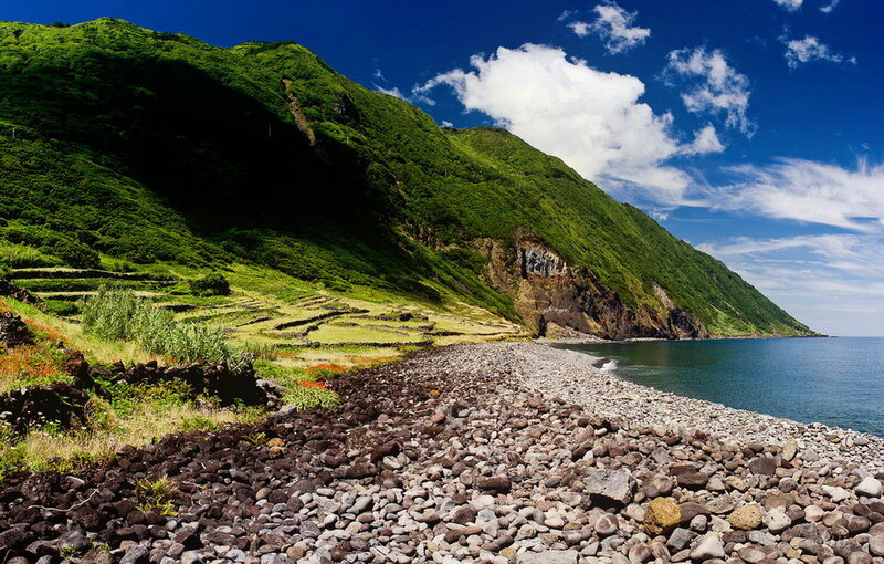Green Hillside Beach