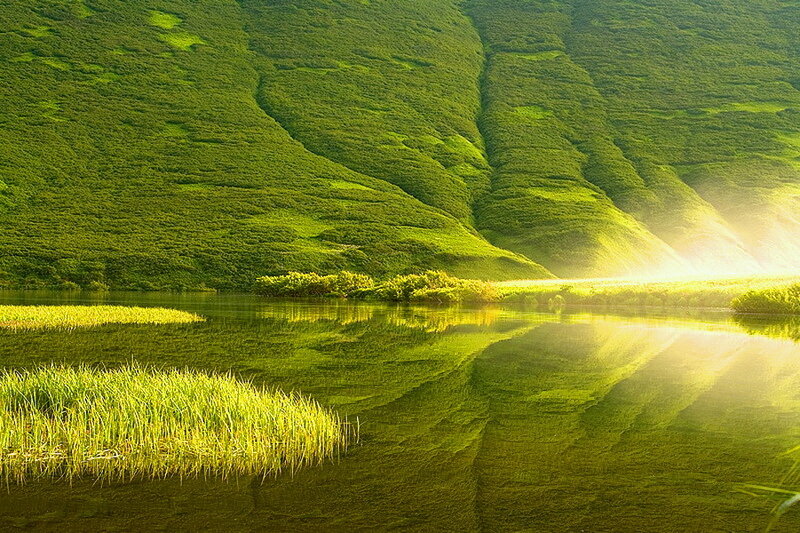 Green Hillside Lake
