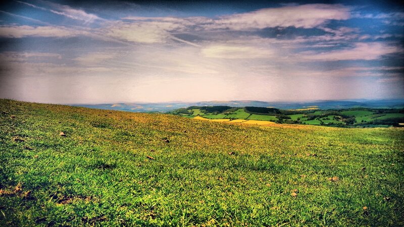 Green Hillside Landscape — Serene, Afternoon