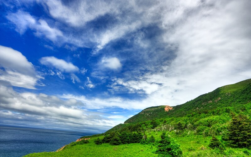 Green Hillside Overlooking Ocean