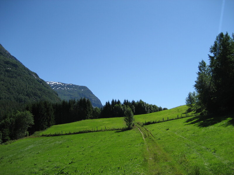Green Hillside Path