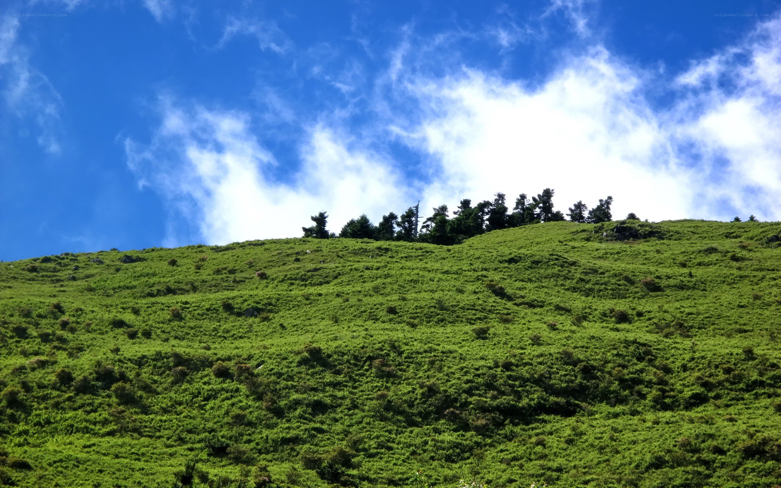 Green hillside under blue sky