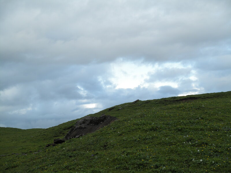 Green Hillside under Cloudy Sky — Overcast