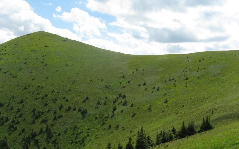 Green hillside under cloudy sky