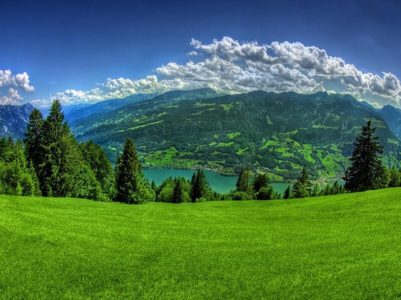 Green Hillside with Lake