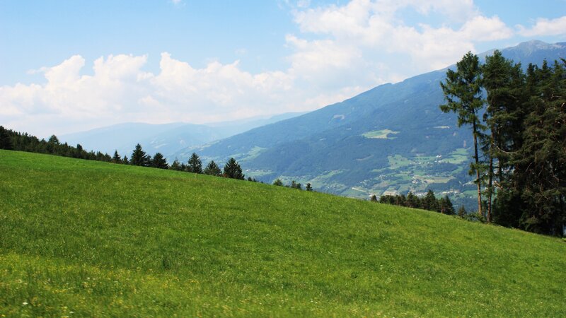Green hillside with mountains