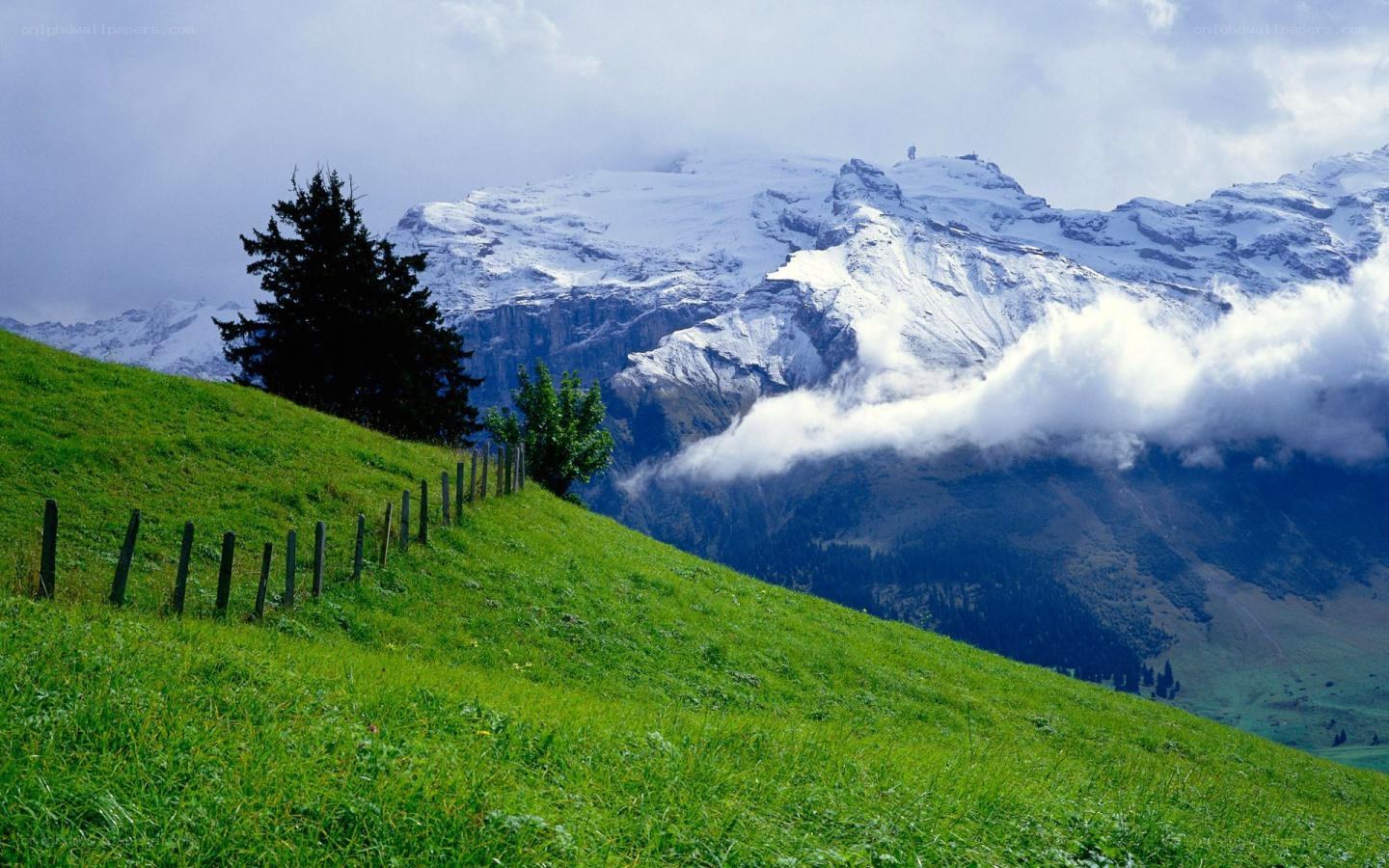 Green hillside with snow-capped mountains