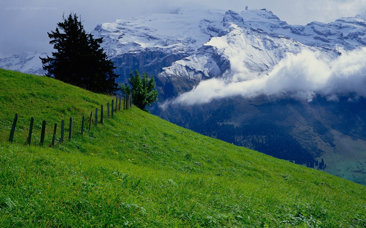 Green hillside with snow-capped mountains
