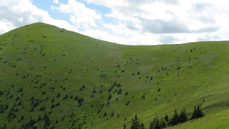 Green Hillside with Trees — Serene, Afternoon, Photograph, Clouds