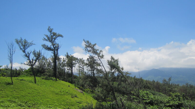 Green Hillside with Trees — Serene, Afternoon, Photograph, Mountains