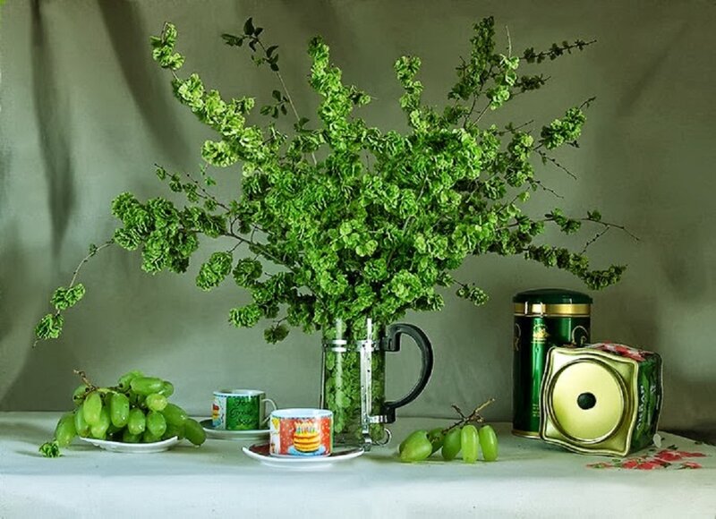 Green Hop Branches in Vase