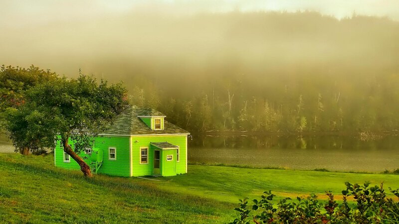 Green House by Lake — Serene, Morning