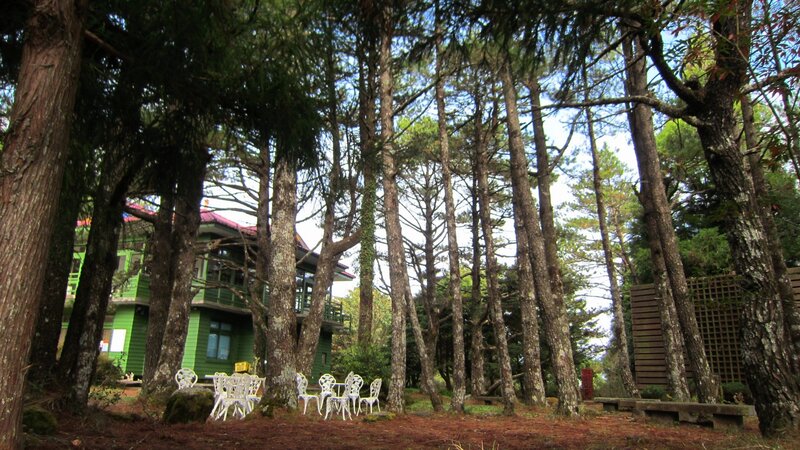 Green House in Forest