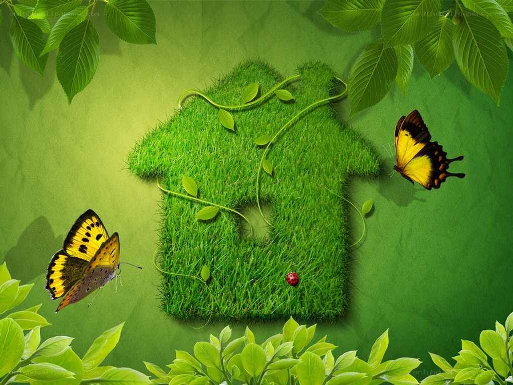 green house with butterflies