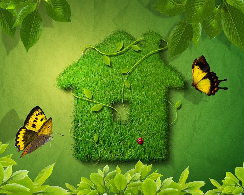 Green house with butterflies