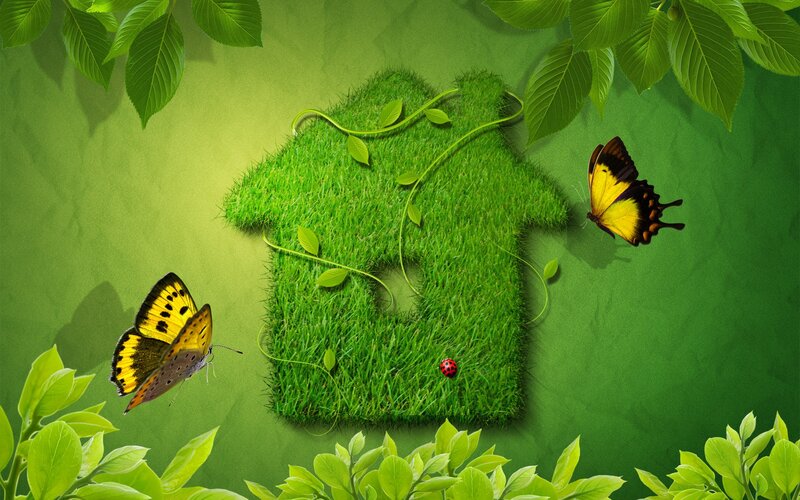 green house with butterflies