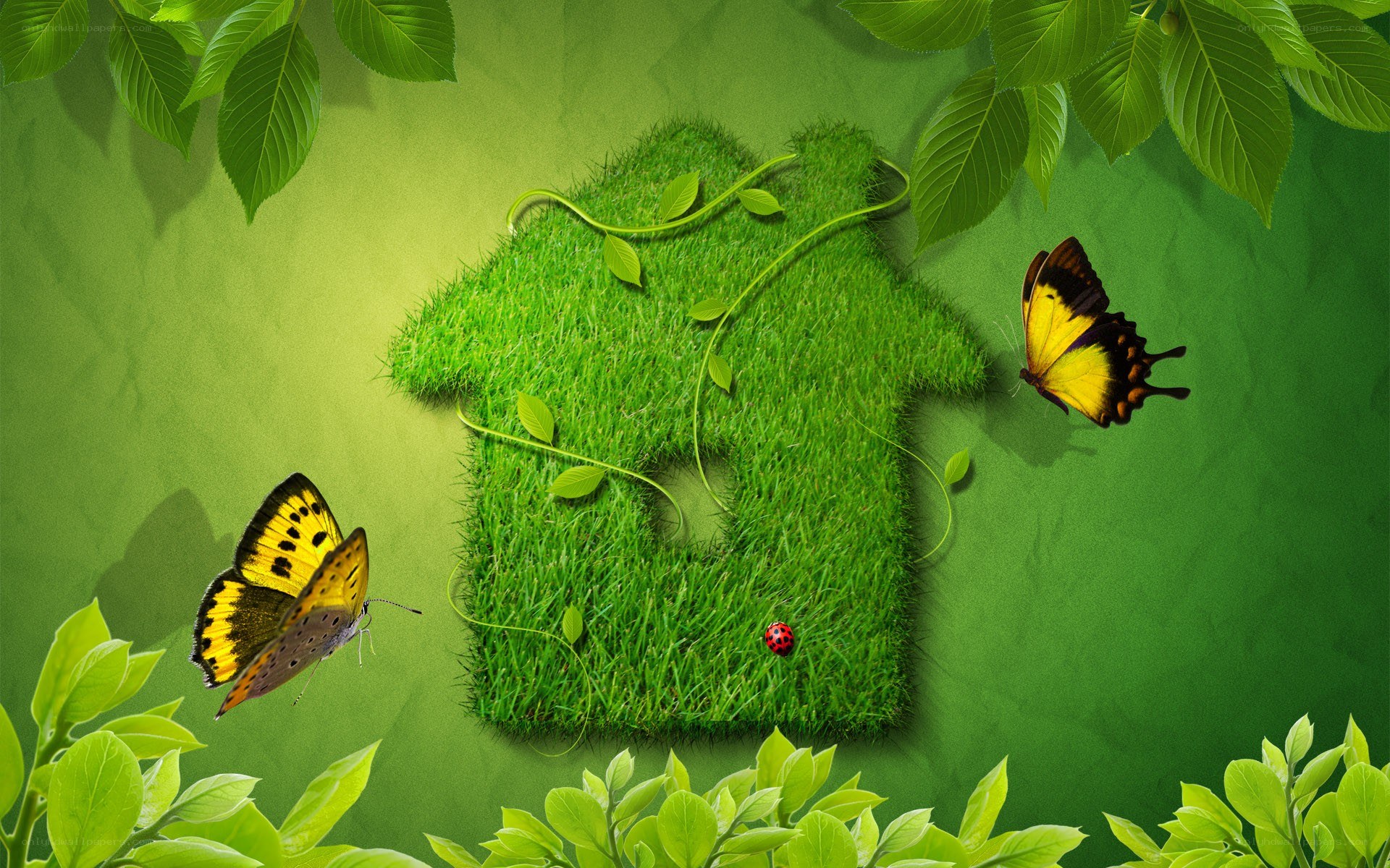 green house with butterflies