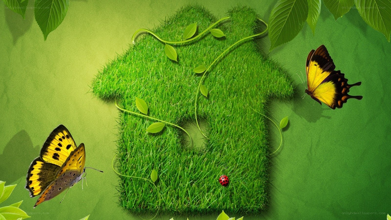 green house with butterflies