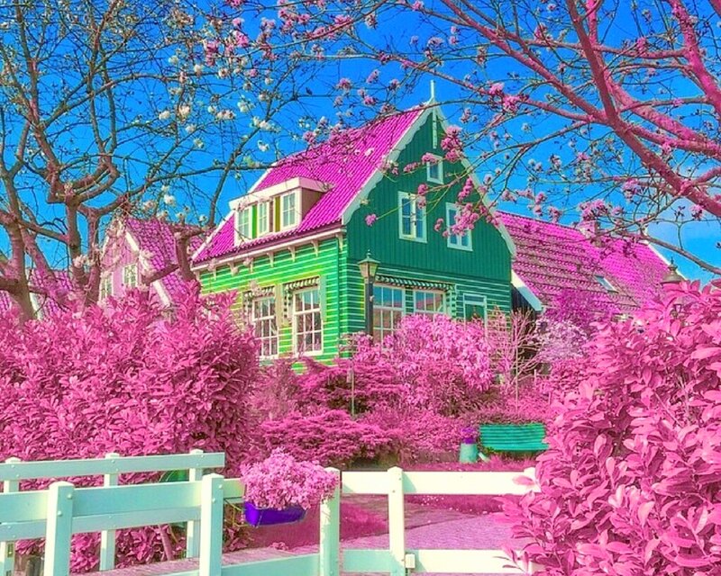 Green House with Pink Roof