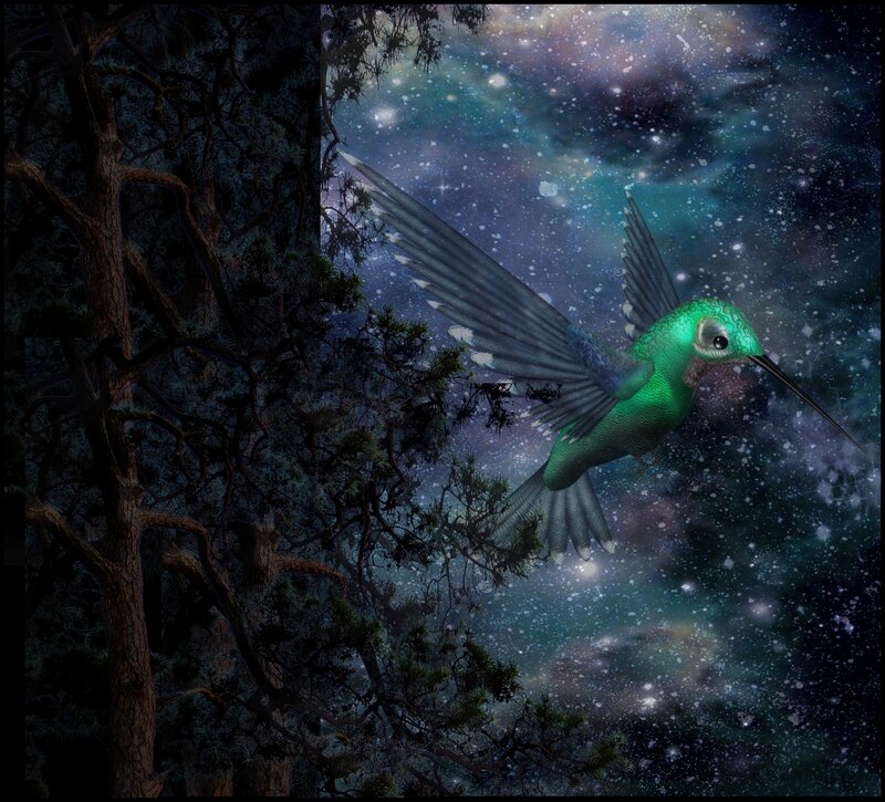 Green Hummingbird Flying