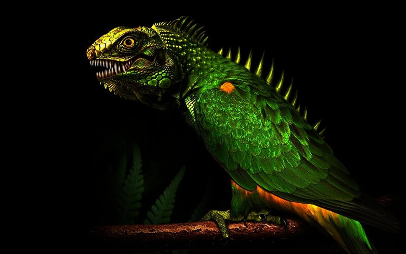 Green Iguana with Spines