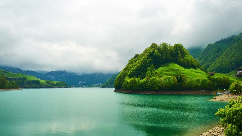 Green Island in Lake — Serene, Morning, Photograph