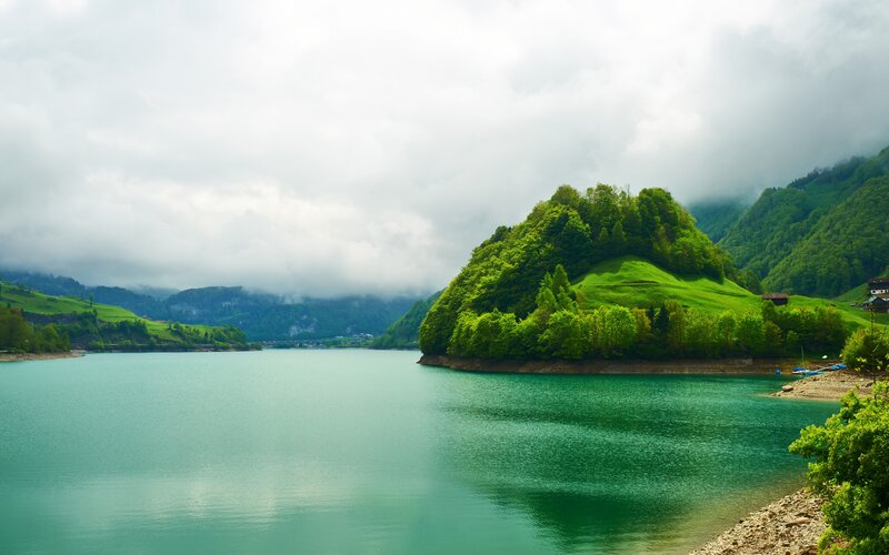 Green Island in Lake — Serene
