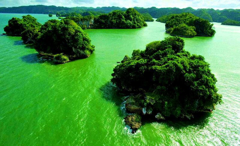 Green Islands in Water — Serene, Afternoon