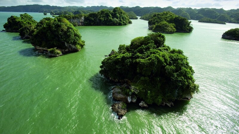 Green Islands in Water — Serene