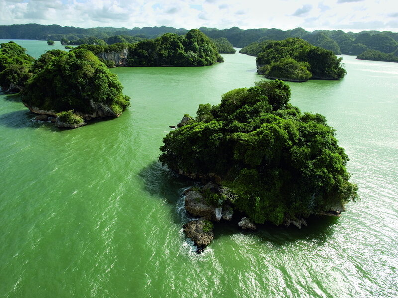 Green Islands in Water