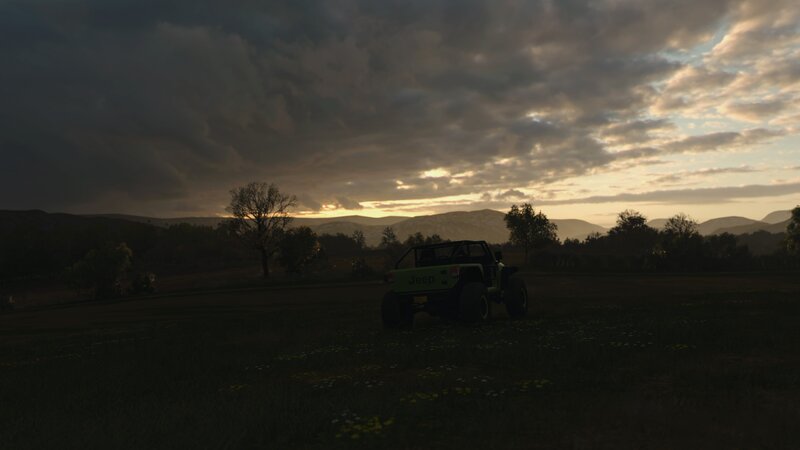 Green Jeep in Field