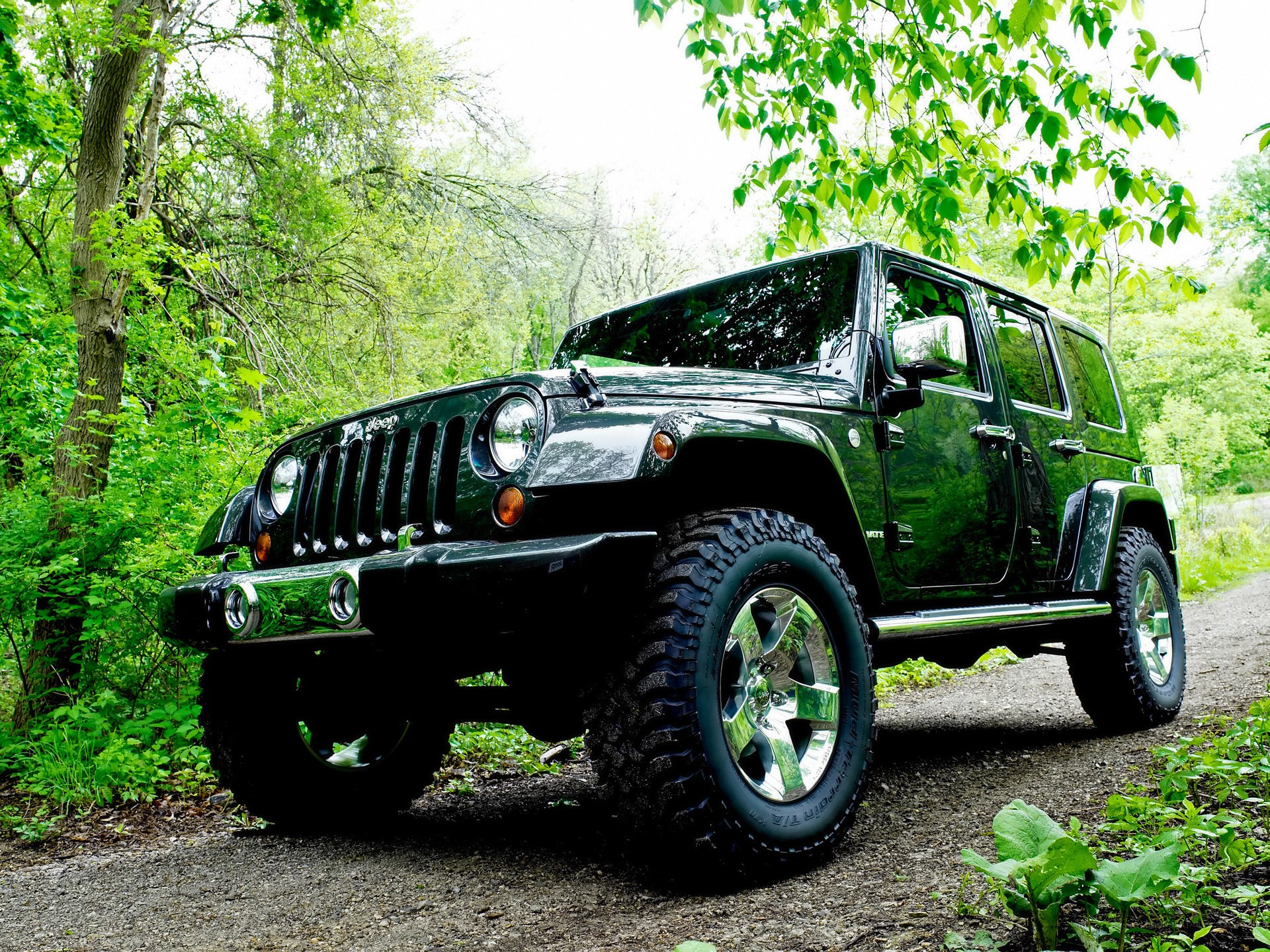 Green Jeep in forest